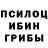 Галлюциногенные грибы прущие грибы itk255