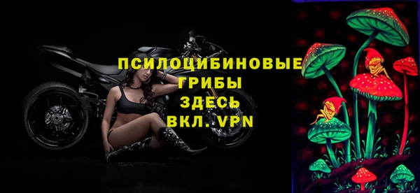 spice Алексеевка
