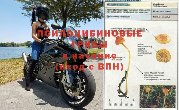 spice Алексеевка