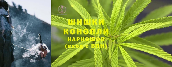 ПСИЛОЦИБИНОВЫЕ ГРИБЫ Арсеньев